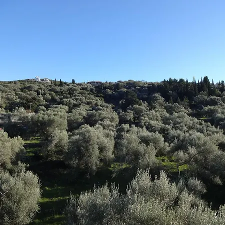 Aparthotel Pansion Filoxenia & 4*