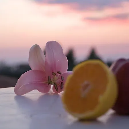 Pansion Filoxenia & 4* Tsoukaládhes