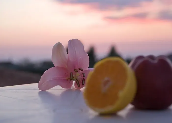 Pansion Filoxenia & 4* Tsoukaladhes