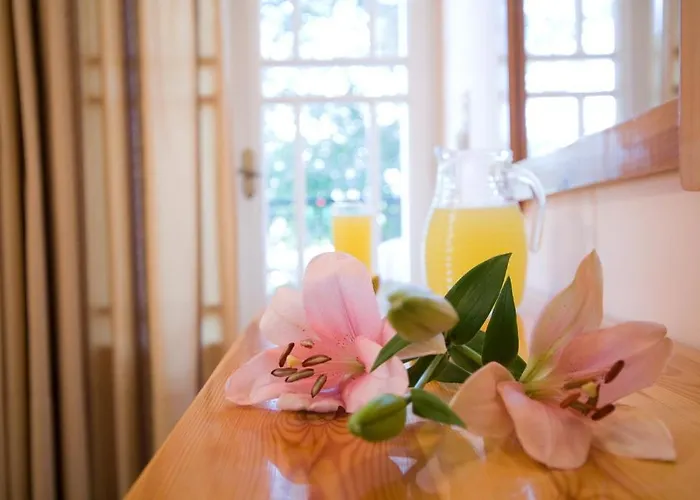 Pansion Filoxenia & 4* Tsoukaladhes