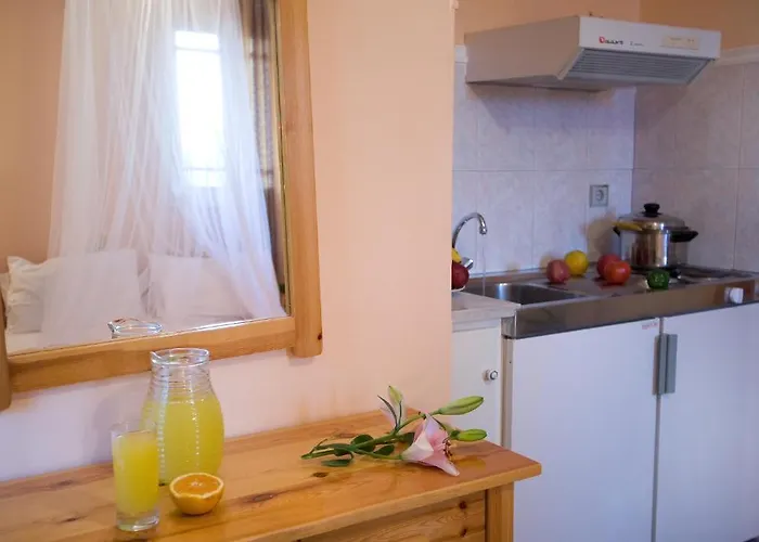 Pansion Filoxenia & Aparthotel Tsoukaladhes